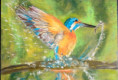 /album/fotogalerij-2013/ijsvogel-met-pastelkrijt-2024-jpg/